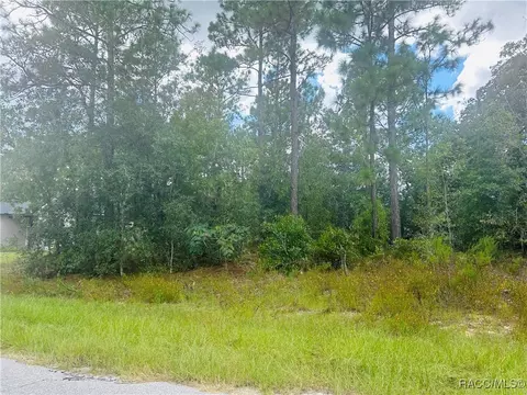 7192 N Cricket Dr, Citrus Springs, FL 34434