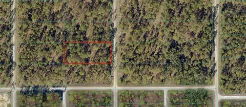 lot18 NW Treetop Rd, Dunnellon, FL 34431
