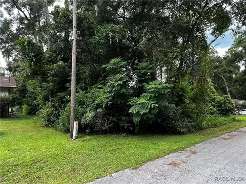 6034 E Menlo Ln, Inverness, FL 34452 photo 3
