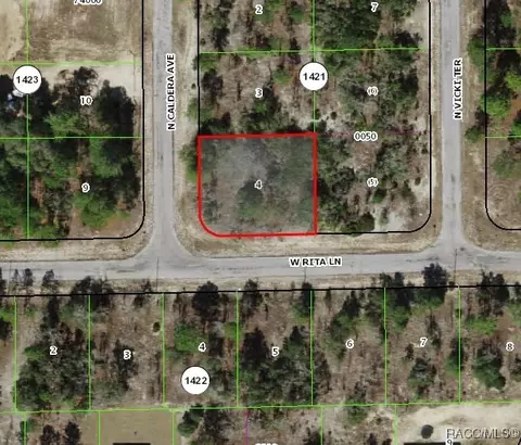 10375 N Caldera Ave, Dunnellon, FL 34433