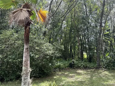 515 E Lancaster St, Lecanto, FL 34461 photo 4