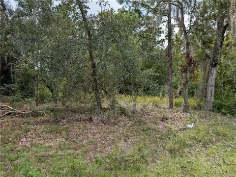 2812 W Dellwood St, Citrus Springs, FL 34433