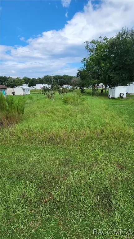 1051 N Paul Dr, Inverness, FL 34453