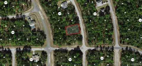 11038 N Frantz Ave, Citrus Springs, FL 34434