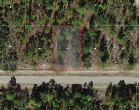 3539 W Seahorse Ln, Citrus Springs, FL 34433