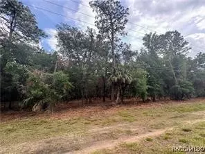 9356 W Sleepyoak Ct, Crystal River, FL 34428