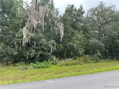 385 W Wason St, Citrus Springs, FL 34434
