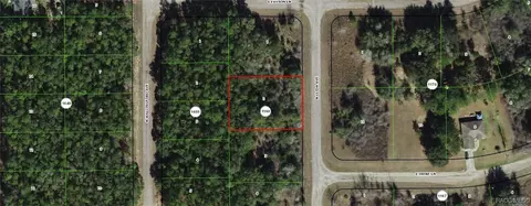 8442 N Elida Ave, Dunnellon, FL 34434