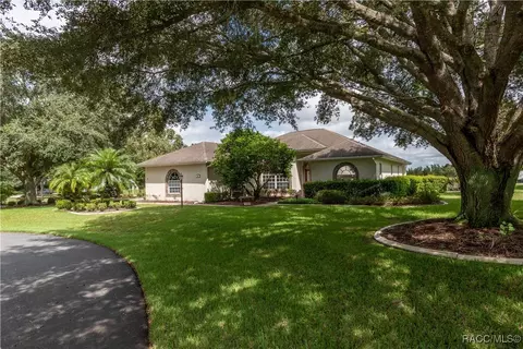 61 E Falconry Ct, Hernando, FL 34442
