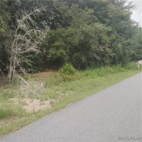 1807 E Humphrey Ln, Hernando, FL 34442 photo 3