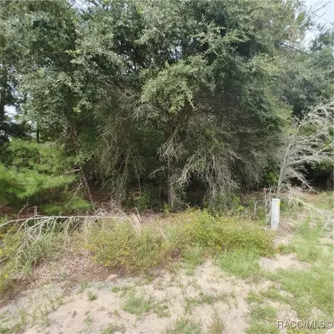 1807 E Humphrey Ln, Hernando, FL 34442 photo 6