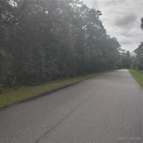 1807 E Humphrey Ln, Hernando, FL 34442 photo 7