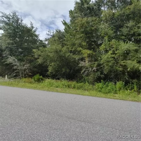 1807 E Humphrey Ln, Hernando, FL 34442 photo 4