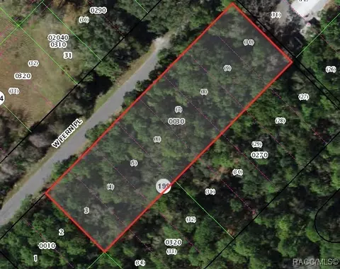 8048 W Fern Pl, Homosassa, FL 34448