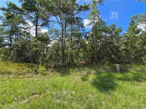 19 Candytuft Ct, Homosassa, FL 34446