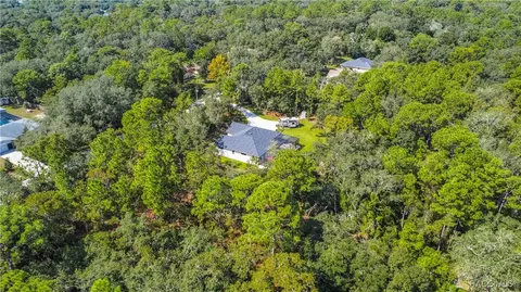 View/Area - 667 E Reehill St, Lecanto, FL 34461 photo 6 of 12