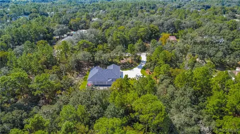 View/Area - 667 E Reehill St, Lecanto, FL 34461 photo 9 of 12