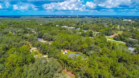 View/Area - 667 E Reehill St, Lecanto, FL 34461 photo 5 of 12