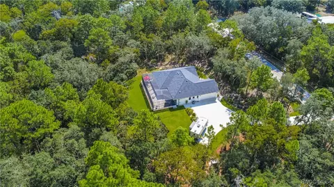 View/Area - 667 E Reehill St, Lecanto, FL 34461 photo 11 of 12