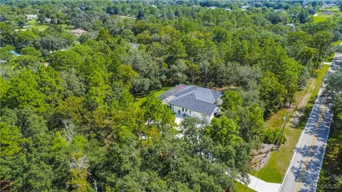 View/Area - 667 E Reehill St, Lecanto, FL 34461 photo 7 of 12