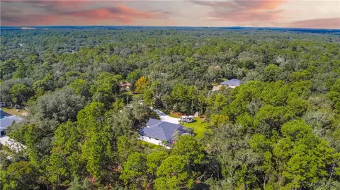 View/Area - 667 E Reehill St, Lecanto, FL 34461 photo 1 of 12