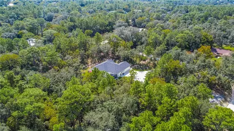 View/Area - 667 E Reehill St, Lecanto, FL 34461 photo 10 of 12