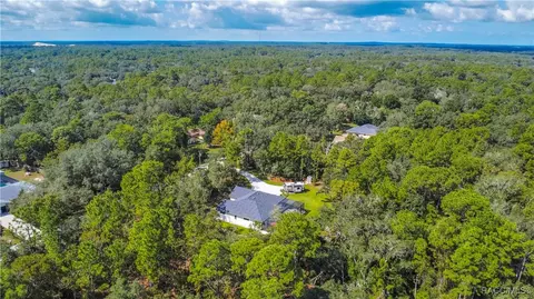 View/Area - 667 E Reehill St, Lecanto, FL 34461 photo 8 of 12