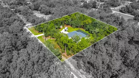 View/Area - 667 E Reehill St, Lecanto, FL 34461 photo 4 of 12