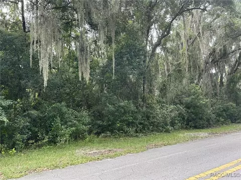 6285 N Shorewood Dr, Hernando, FL 34442