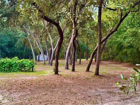 1229 E Bismark St, Hernando, FL 34442 photo 5