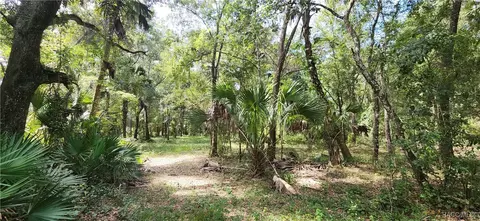 7446 N Palm Oak Dr, Hernando, FL 34442
