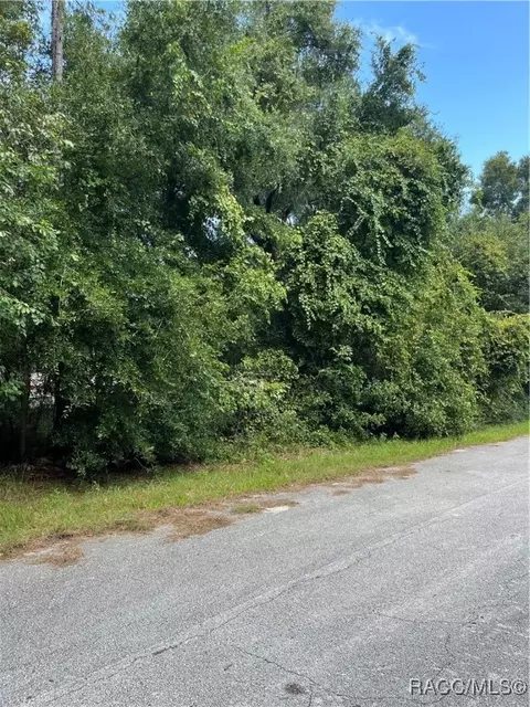 3125 E Patricia Ln, Inverness, FL 34453