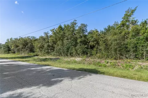 0000 SW Hyacinth Ct, Dunnellon, FL 34434