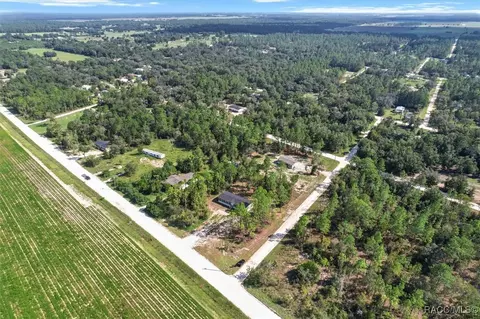 13690 NE 10th St, Williston, FL 32696 photo 5