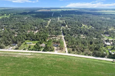 13690 NE 10th St, Williston, FL 32696 photo 6