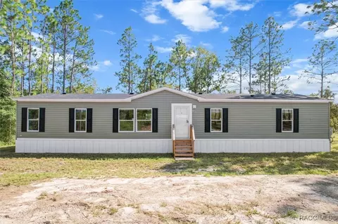 13690 NE 10th St, Williston, FL 32696 photo 2