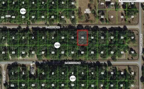 1746 E Carson Rd, Dunnellon, FL 34434