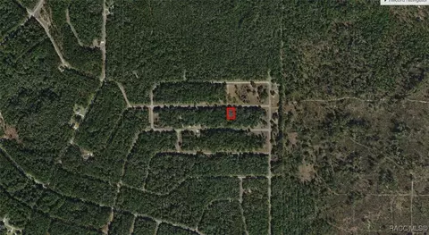 1746 E Carson Rd, Dunnellon, FL 34434 photo 2