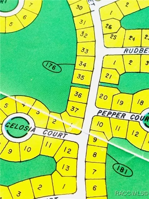 43 Lone Pine St, Homosassa, FL 34446