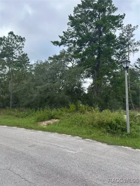 10 Palm Grass Ct, Homosassa, FL 34446