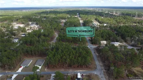 1273 W Newbury St, Citrus Springs, FL 34434