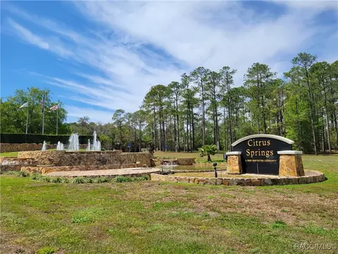 1407 W Starbright Pl, Dunnellon, FL 34434 photo 9