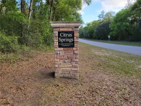 1407 W Starbright Pl, Dunnellon, FL 34434 photo 11