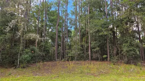 1407 W Starbright Pl, Dunnellon, FL 34434 photo 4