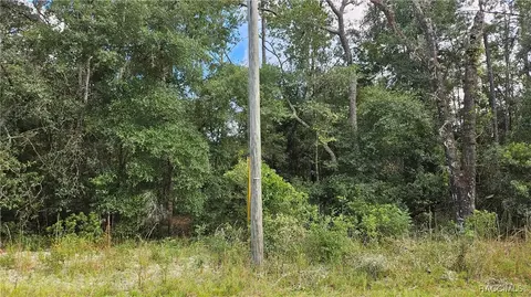 1407 W Starbright Pl, Dunnellon, FL 34434 photo 5