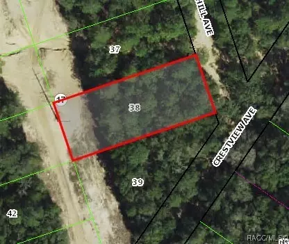 99 Webhill Ave, Inverness, FL 34452