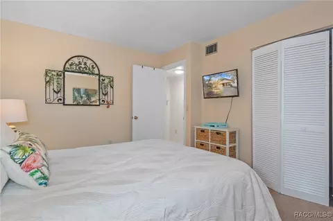 186 E Glassboro Ct, Hernando, FL 34442 photo 22