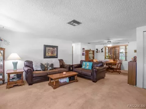 3841 E Parsons Point Rd, Hernando, FL 34442 photo 6