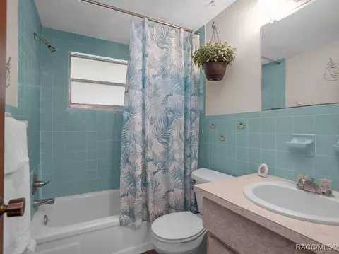 3841 E Parsons Point Rd, Hernando, FL 34442 photo 28