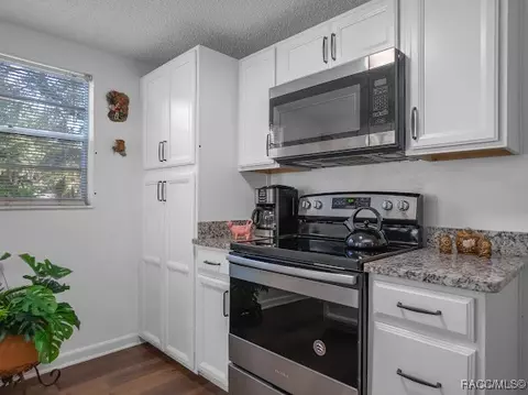 3841 E Parsons Point Rd, Hernando, FL 34442 photo 13